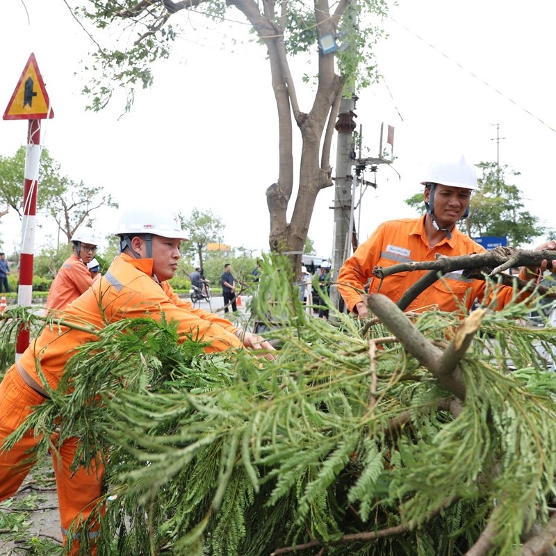 Nhiều địa phương cấp điện trở lại sau bão Yagi